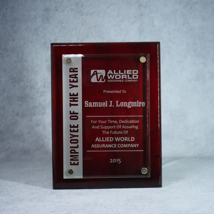 Plaques example